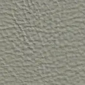Swan leather texture sample, muted gray tone, irregular granular pattern with visible material code “pf a 661”.